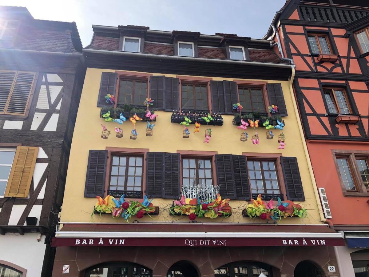 Les Appartements D'Alicia Obernai Eksteriør bilde